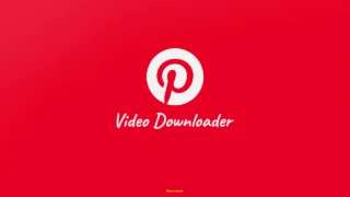 Pinterest video downloader