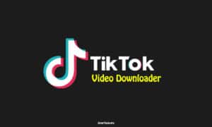 TikTok Video Downloader