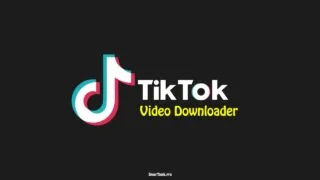 TikTok Video Downloader
