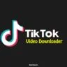 TikTok Video Downloader