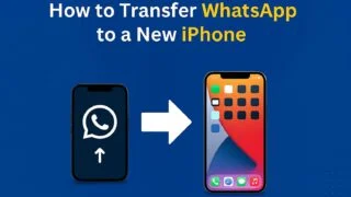 Transfer WhatsApp to a New iPhone